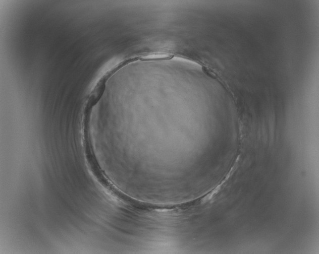 X0000054380054200508191923