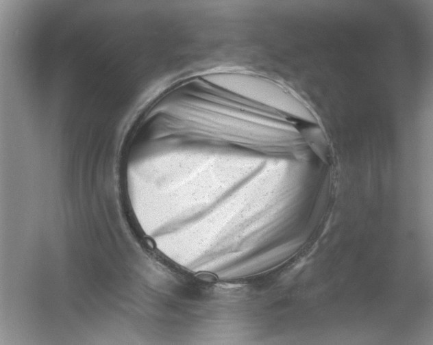 X0000054380055200508191923