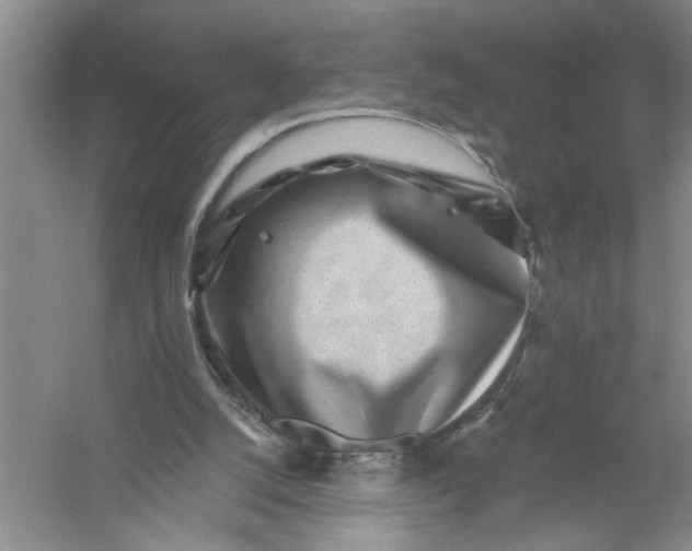 X0000054380056200508191923