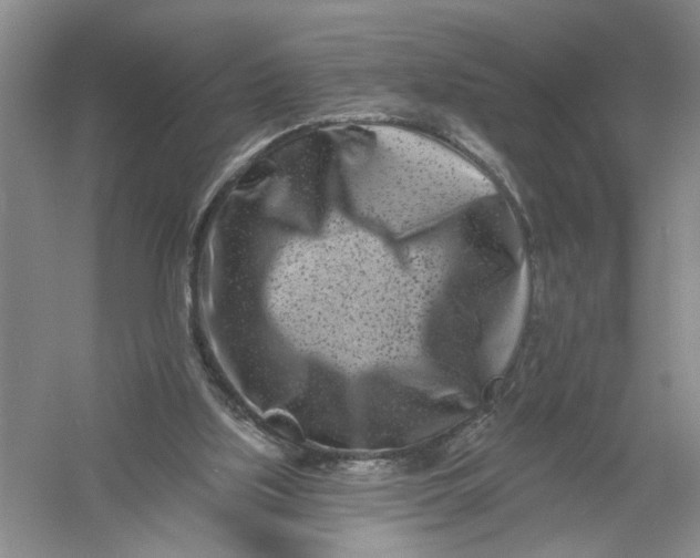 X0000054380059200508191923