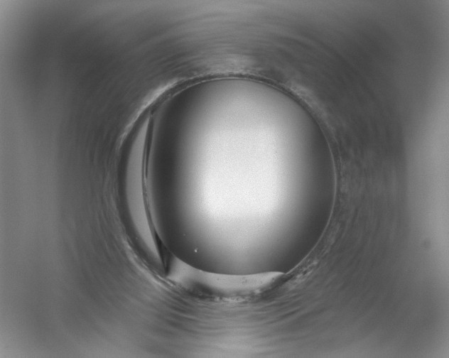 X0000054380060200508191923