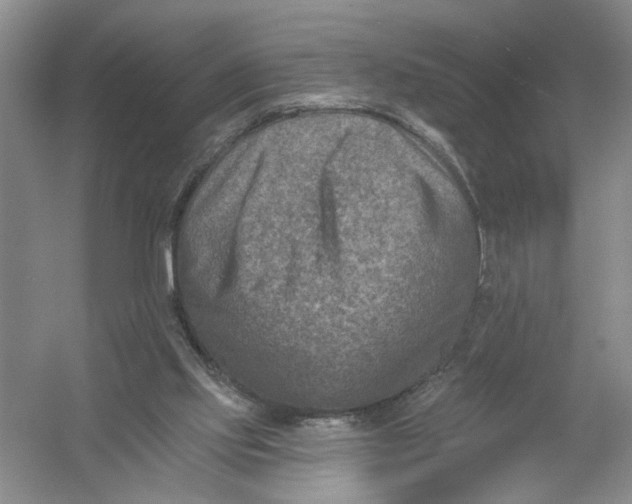 X0000054380061200508191923