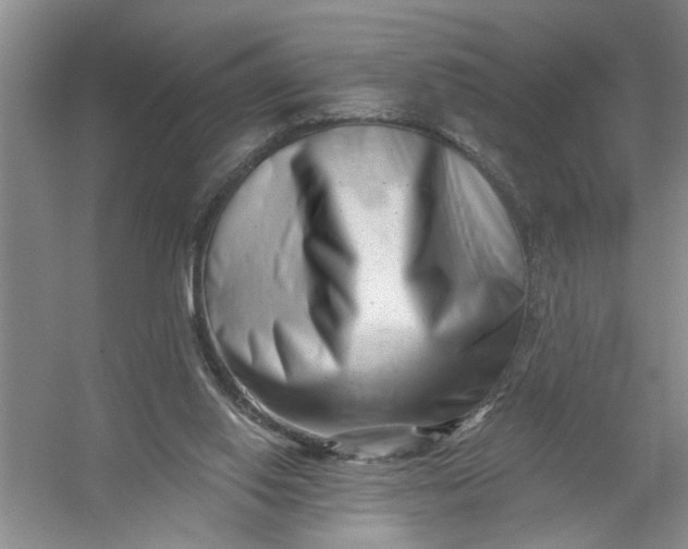 X0000054380062200508191923