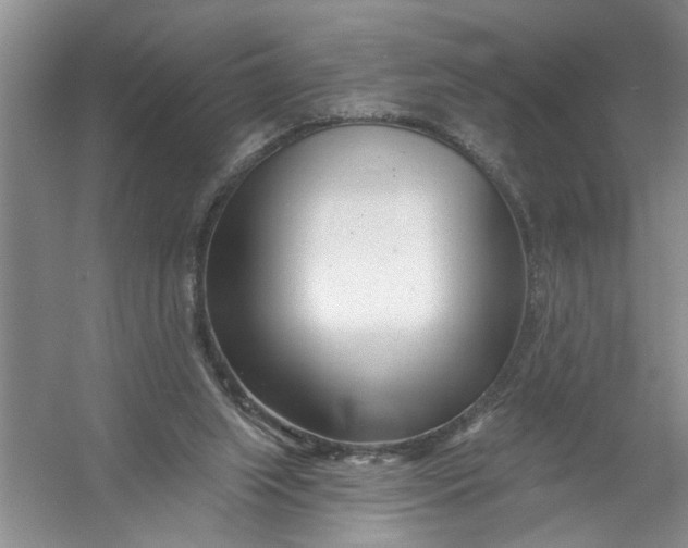 X0000054380063200508191923