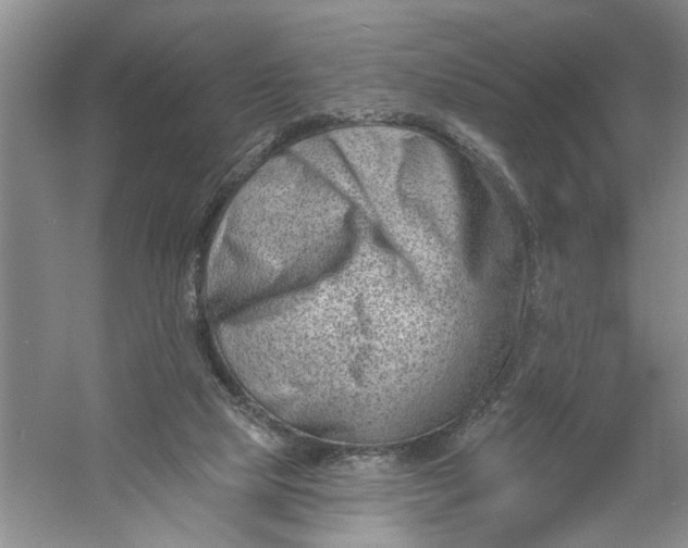 X0000054380065200508191923