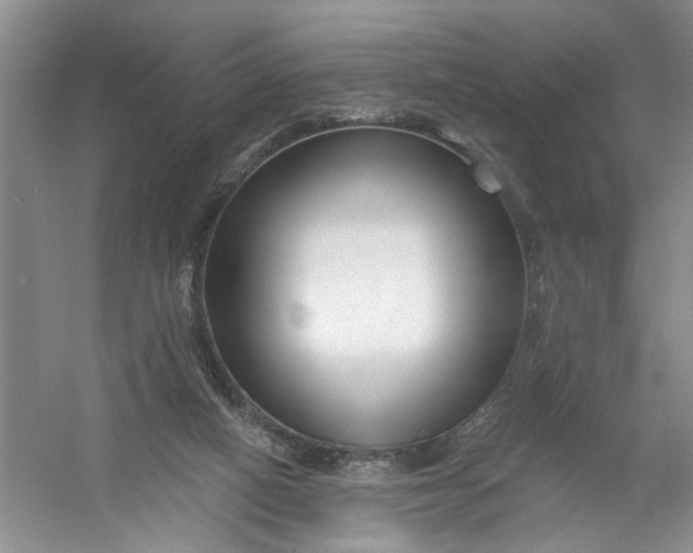 X0000054380066200508191923