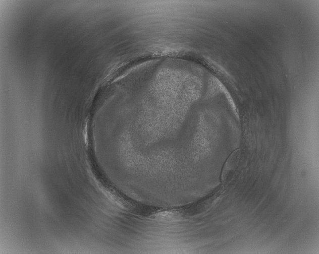 X0000054380067200508191923