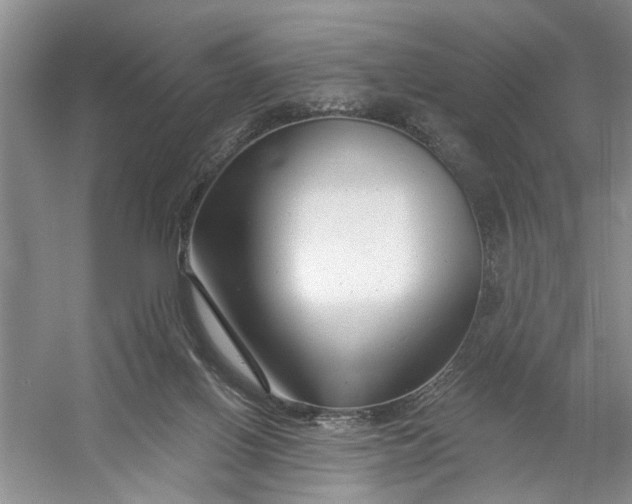 X0000054380070200508191923