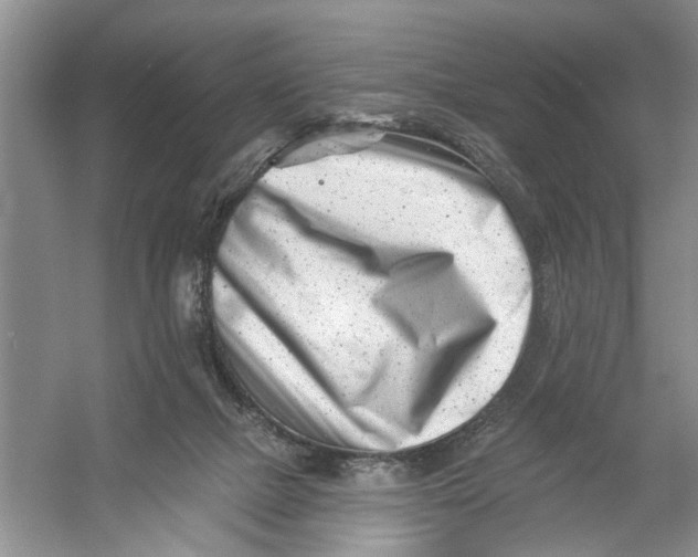 X0000054380073200508191923