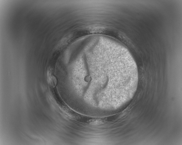 X0000054380074200508191923