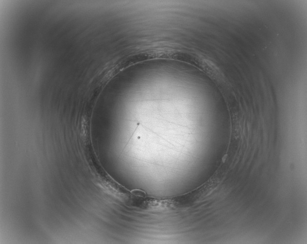 X0000054380077200508191924