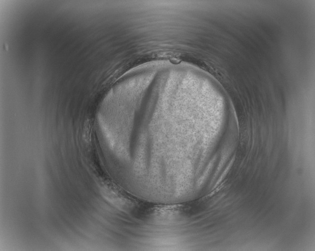 X0000054380078200508191924