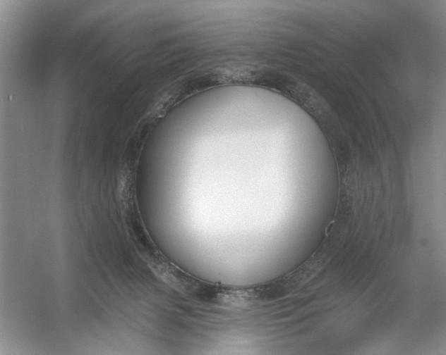 X0000054380079200508191924