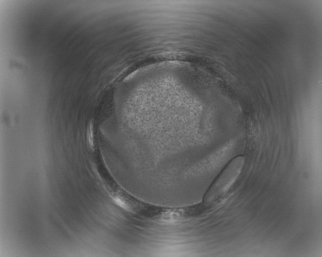 X0000054380080200508191924