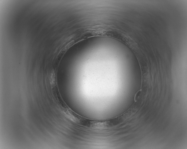 X0000054380081200508191924