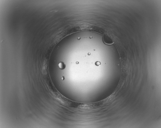 X0000054380082200508191924