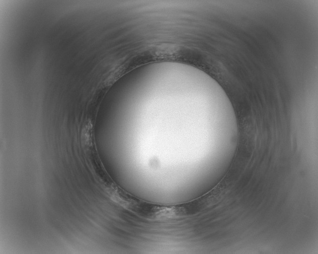 X0000054380083200508191924