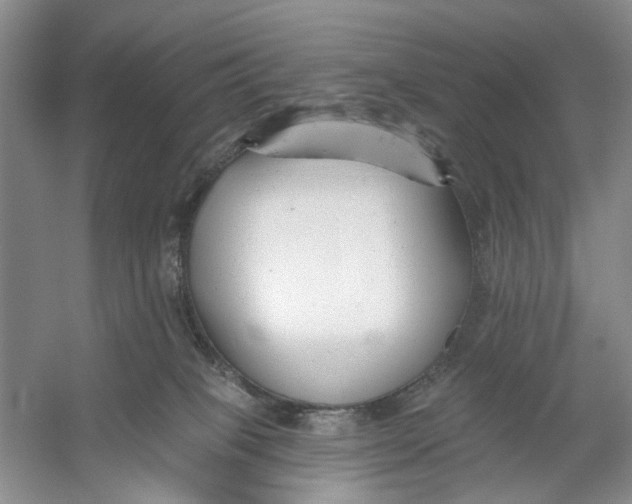 X0000054380085200508191924