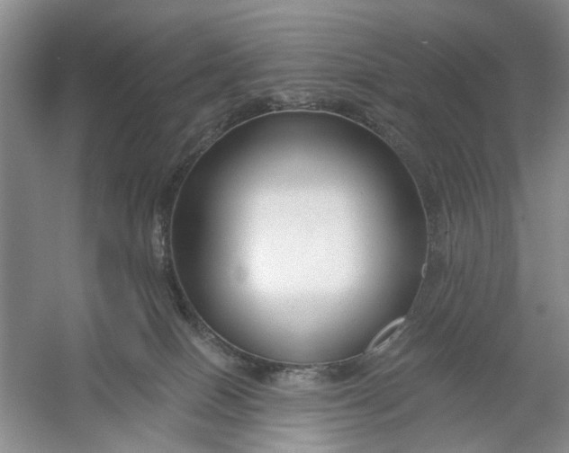 X0000054380086200508191924