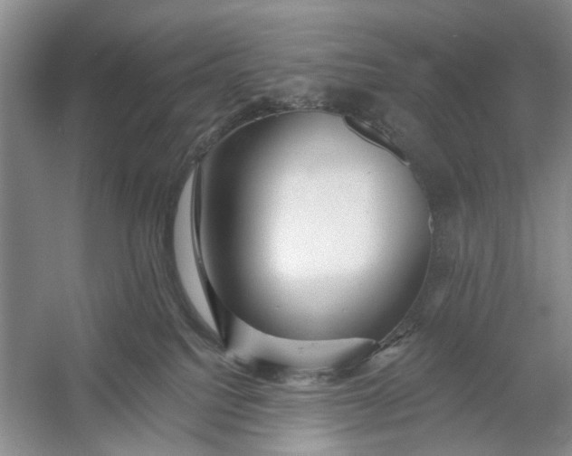 X0000054380088200508191924