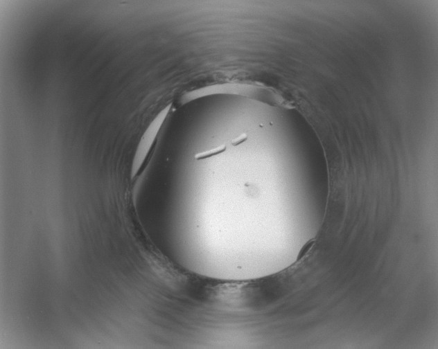 X0000054380090200508191924