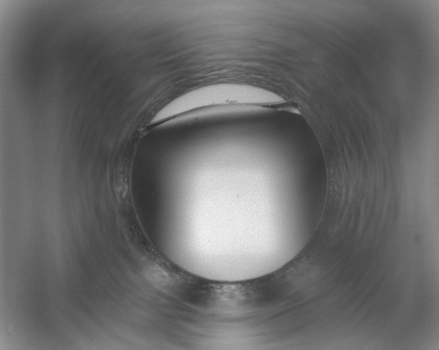 X0000054380091200508191924