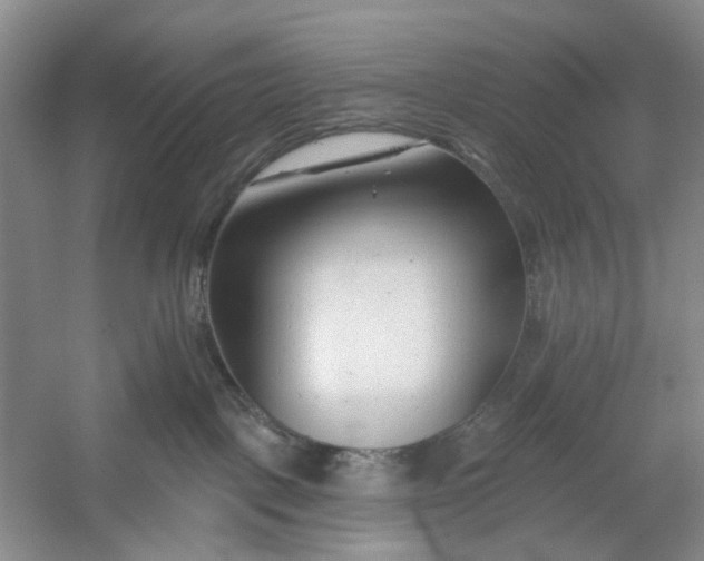 X0000054380093200508191924