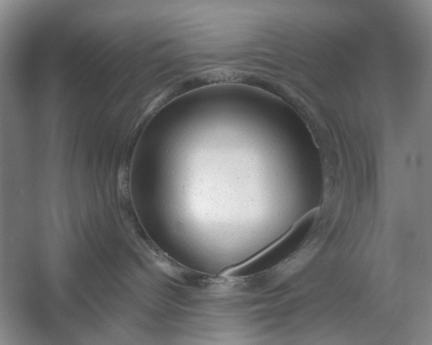 X0000054380096200508191924