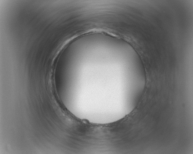 X0000054380098200508191923