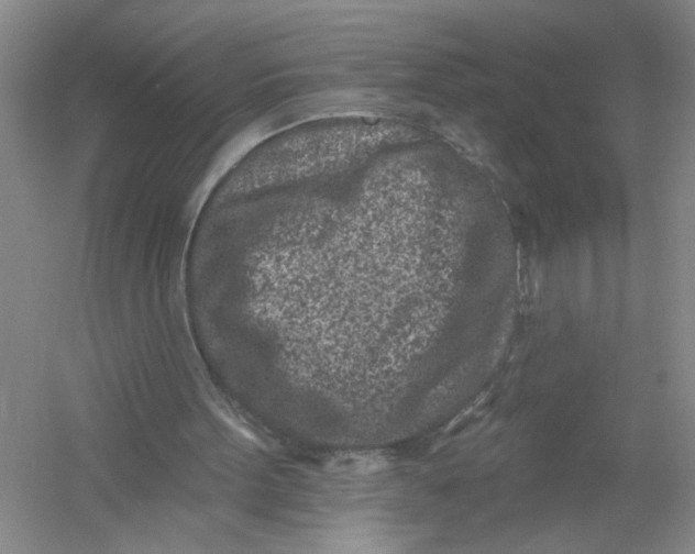 X0000054380099200508191923