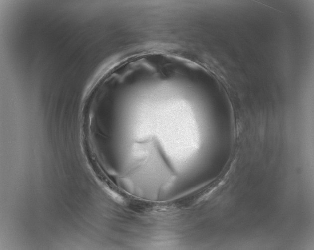 X0000054380101200508191923