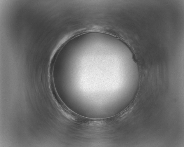 X0000054380102200508191923