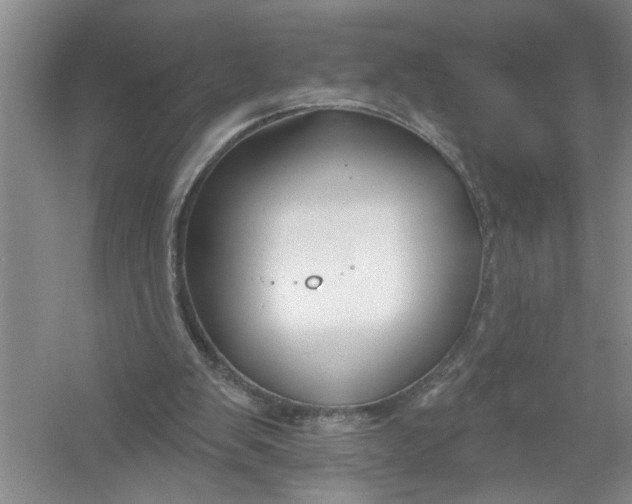 X0000054380103200508191923