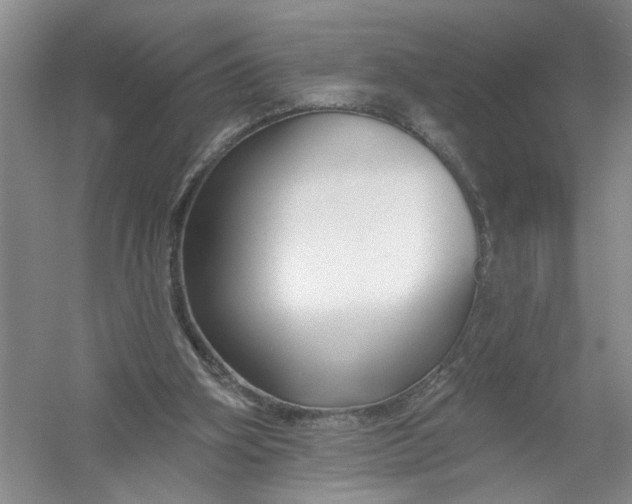 X0000054380106200508191923