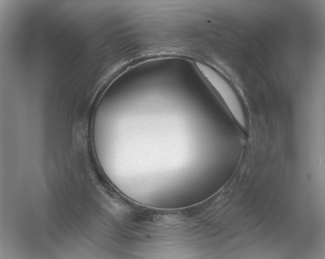 X0000054380107200508191923