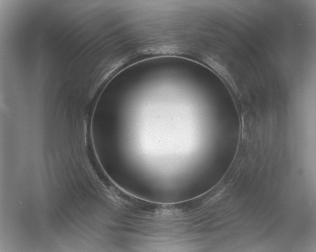 X0000054380109200508191923