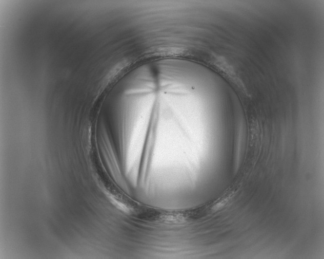 X0000054380110200508191923