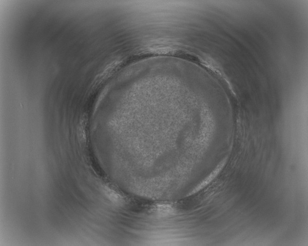 X0000054380114200508191923