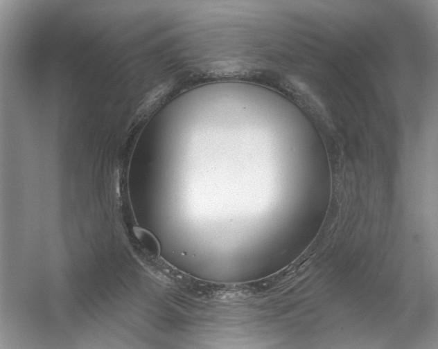 X0000054380115200508191923