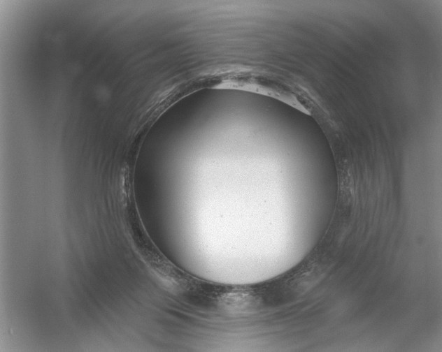 X0000054380119200508191923