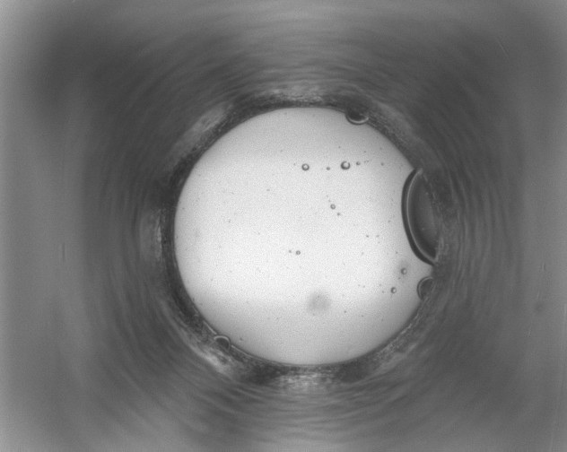 X0000054380120200508191923