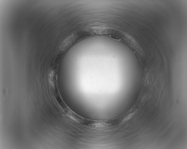 X0000054380121200508191923