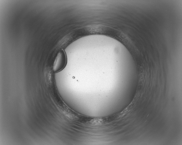 X0000054380124200508191923