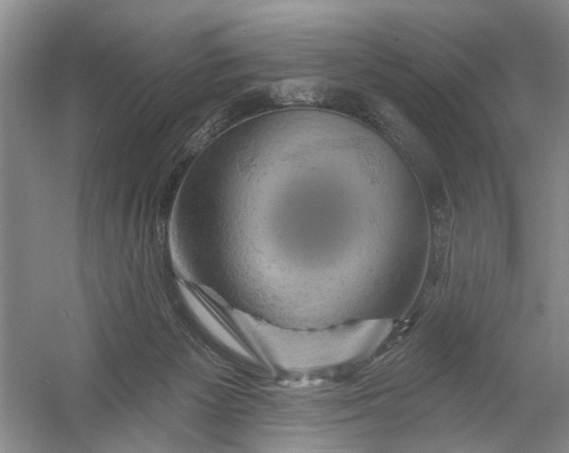 X0000054380125200508191923