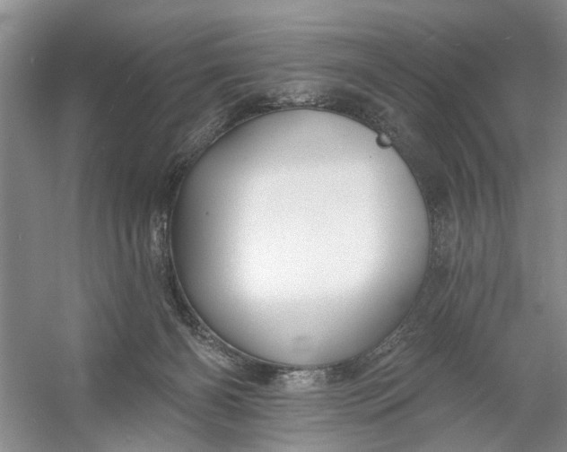 X0000054380126200508191923