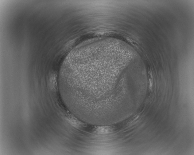 X0000054380127200508191923