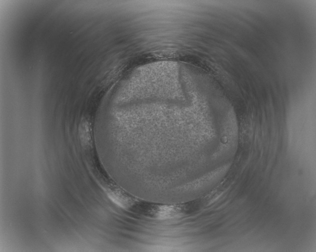 X0000054380130200508191922