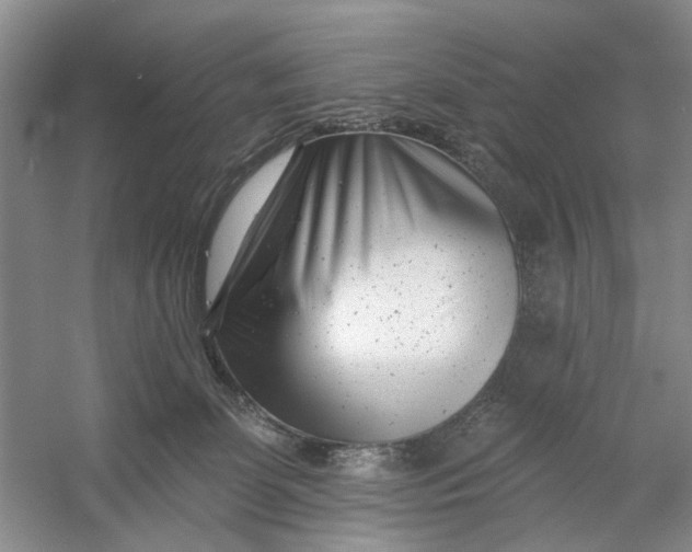 X0000054380131200508191922