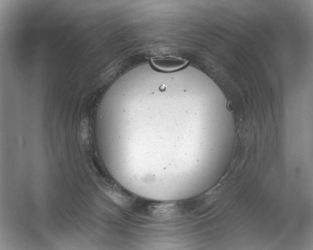 X0000054380132200508191922