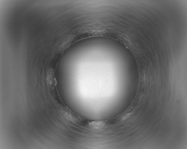 X0000054380133200508191922